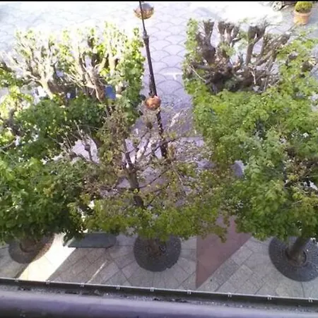 Morny Belvedere Deauville