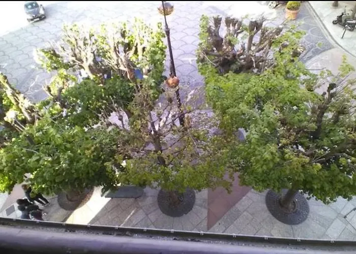 Morny Belvedere Deauville